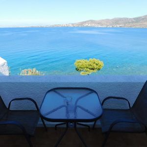 Perdika Mare Guesthouse&Café